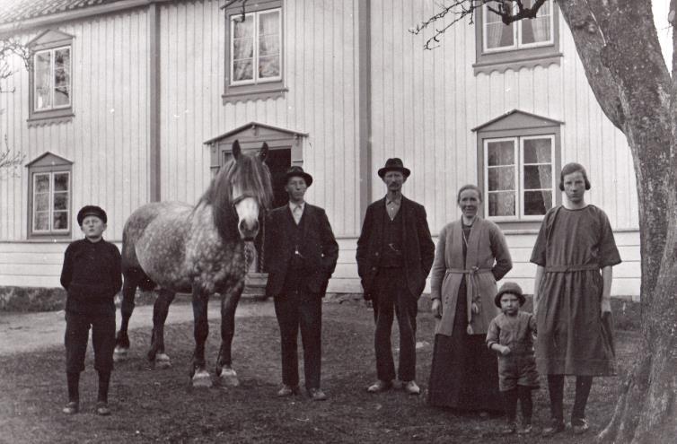 Hästen har alltid haft en stor betydelse för gårdarna.