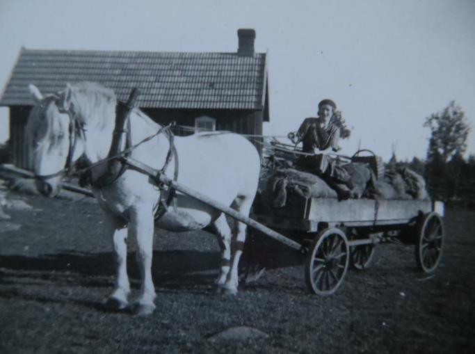 Andersson, Oskar Olsson Tänk om vi kunde förflytta oss 100-125 år