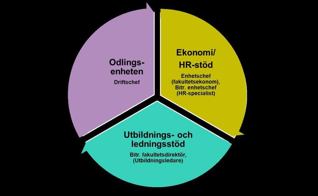 Skapa välfungerande rutiner inom verksamhetsstödet för LTV- fakulteten och stärka samarbetet mellan institutionerna och fakulteten.