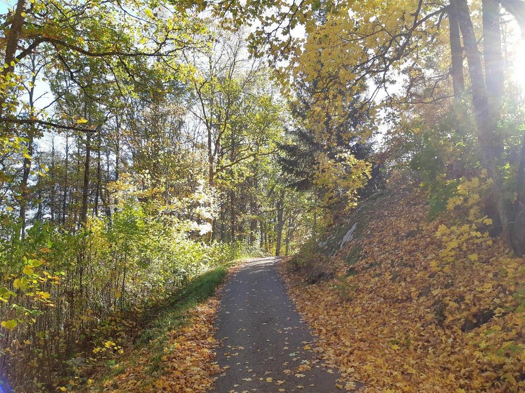 Övergripande om kommunen Stora delar av Högsby kommun är skogsmark, i många fall med höga naturvärden.