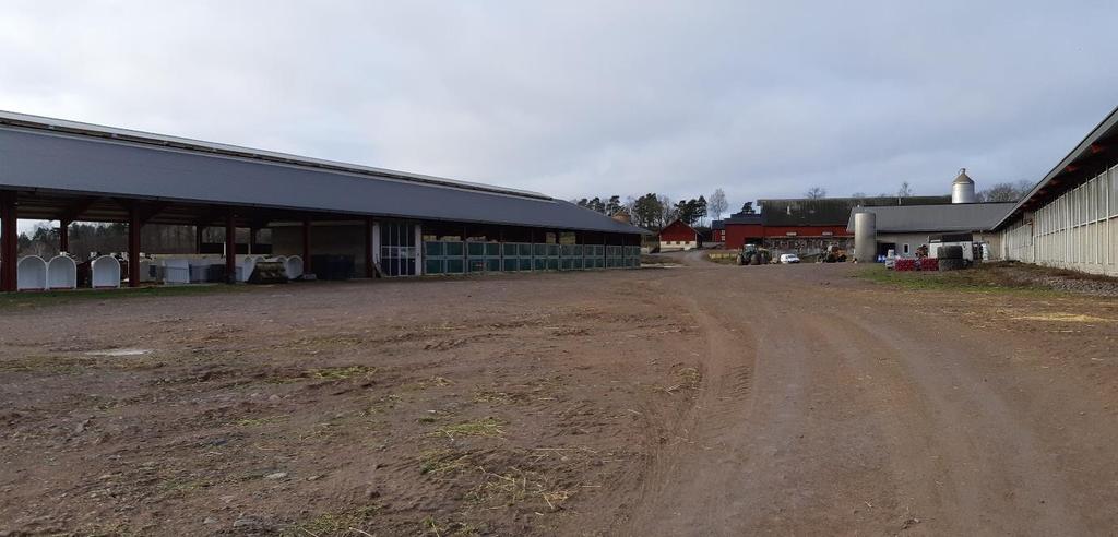 Vid Stora Hanåsa finns Lindhs Djur & Natur, en framgångsrik verksamhet med en av länets större kobesättningar.
