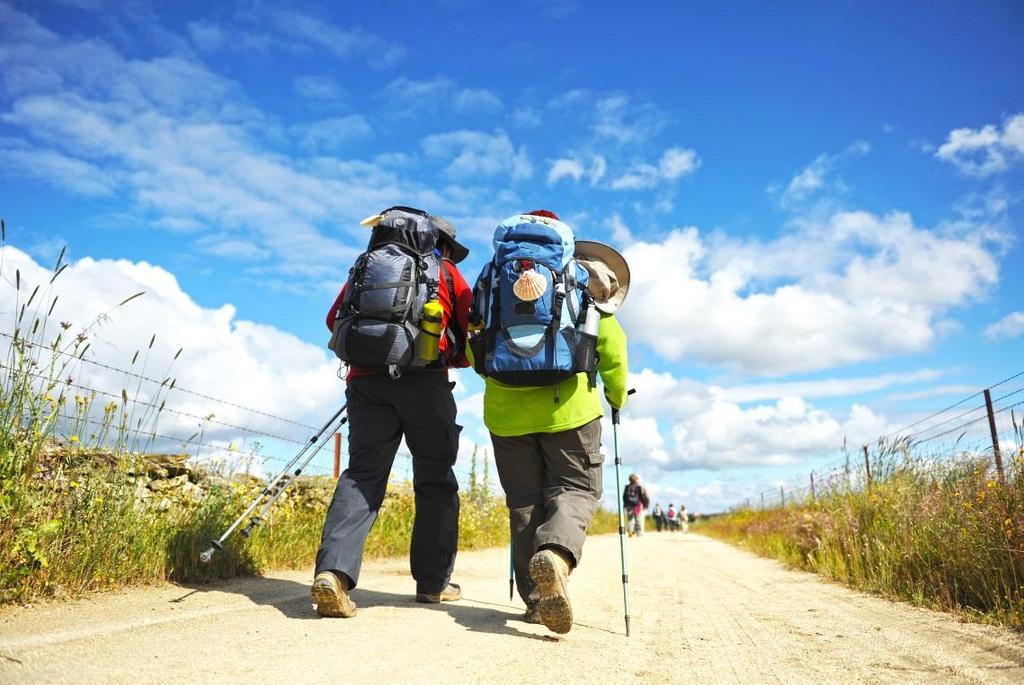 Camino Francés, Logroño Burgos, 6 nätter 1(6) Vandra i Spanien Camino Francés, 6 nätter Logroño Burgos, 5 vandringsdagar Den mest kända av pilgrimslederna genom Spanien till Santiago de Compostela är