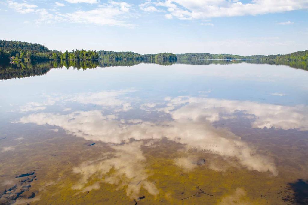 Kuperad vandring genom vackra naturreservat med bokskogen Stomsås och fina utsiktsplatser. Längs leden finns mycket kulturhistoria att upptäcka.