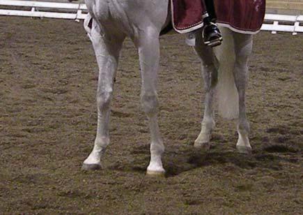 på våren på regional tävling med två omgångar i LA:4 och final i LA:5. Åtta lag var anmälda och fem av dessa fullföljde. Enköpings RK vann med Björklinge RF på andra plats och Aros RS på tredjeplats.