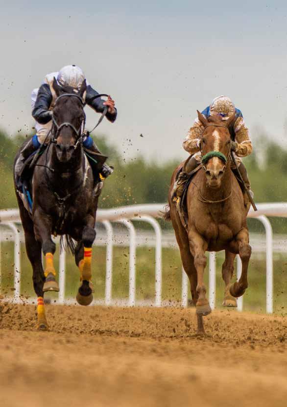 9 7 SKANDINAVISK HINDERSPORT Galopp över häck och steeple Åldersgräns 18 år. Stödlinjen 020-81 91 00. 3800 Häckbana START 15.