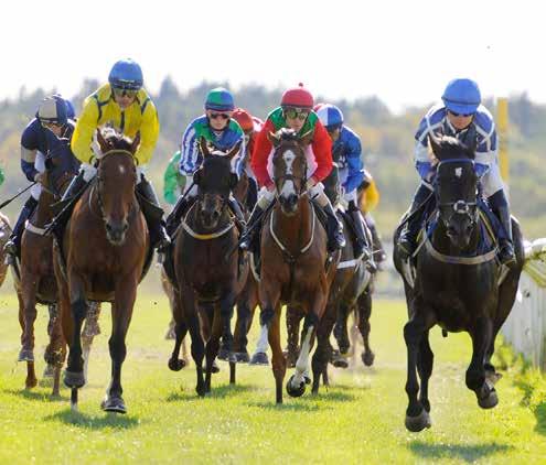 Galoppsport - en sport för alla Välkommen till galoppsportens fascinerande värld! Vi hoppas ditt besök på Göteborg Galopp idag ska bli en fest för alla sinnen och en upplevelse med mersmak.