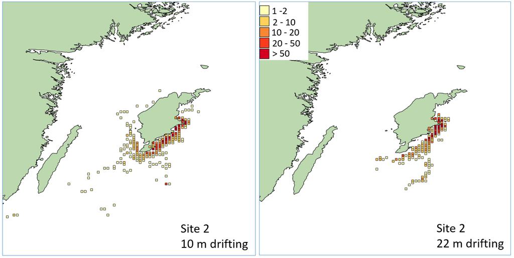 kusten. Vid drift på 10 och 22 m djup ger modellen att i genomsnitt 69-83 % respektive 88-93 % av larverna bottenfäller inom 20 km från kusten, dvs kan anses ha möjlighet att nå ett uppväxtområde.
