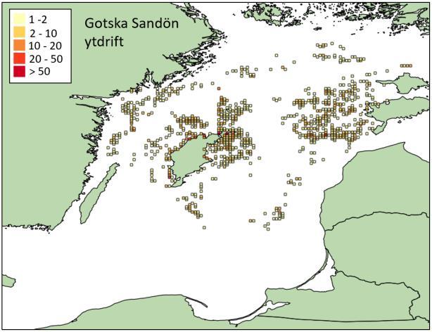 Analysen antyder att Gotska Sandön och Hoburgs Bank är mindre lämpliga lekområden då modellen ger att en stor andel av larverna inte når uppväxtområden utan i hög omfattning har slutpositioner i