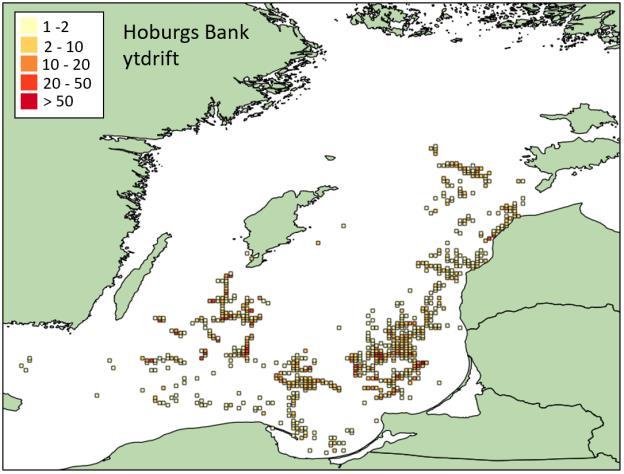 För Gotska Sandön ger modellen att i genomsnitt 80 % av larverna inte når uppväxtområden om drift sker vid ytan, men även att ca 60 % går förlorade vid drift på 10-22 m djup.