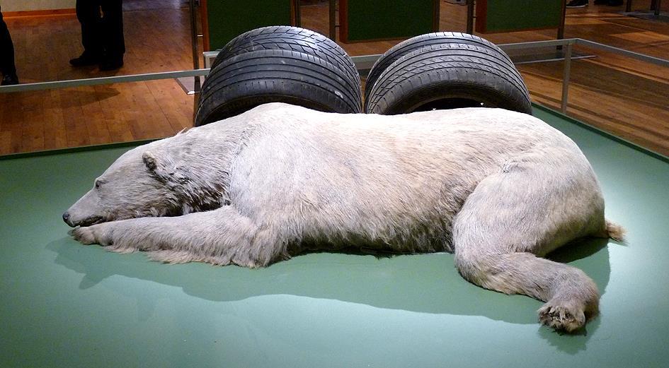 En isbjörn låg utsträckt med fyra däck vilande mot