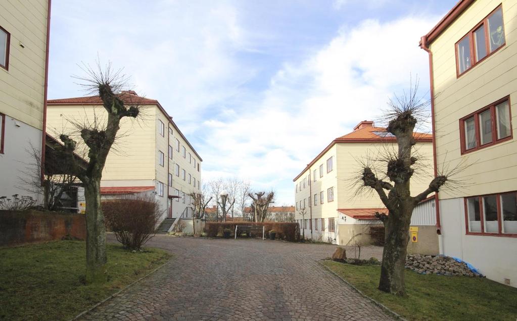 Från Paradisgatan nås