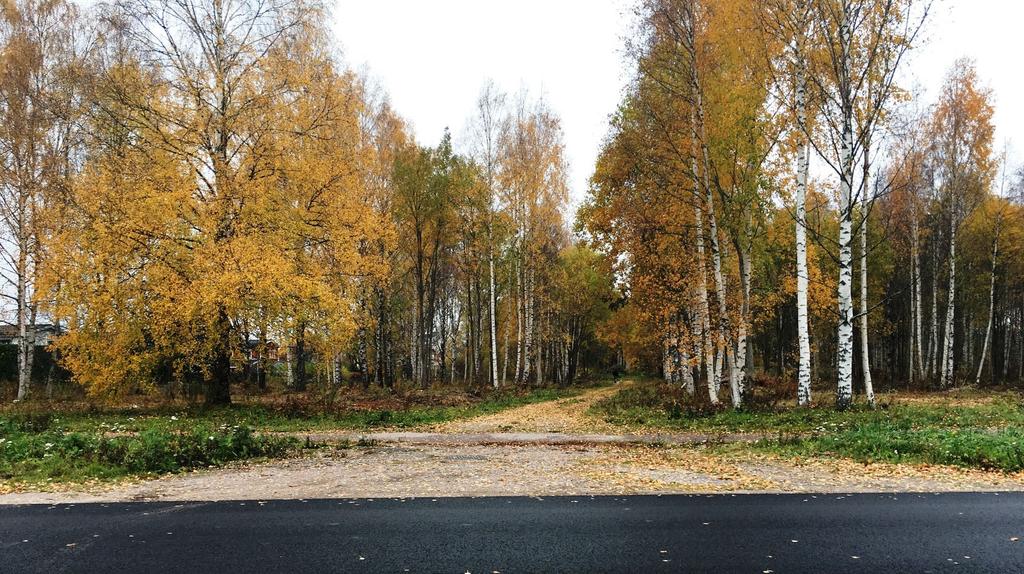 GRANSKNINGSHANDLING 2 6 (8) FÖRENLIGT MED 3, 4 OCH 5 KAP.