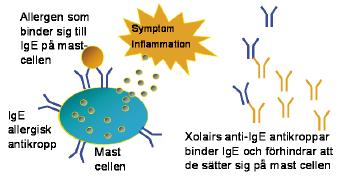 och ökad inflamamtion.