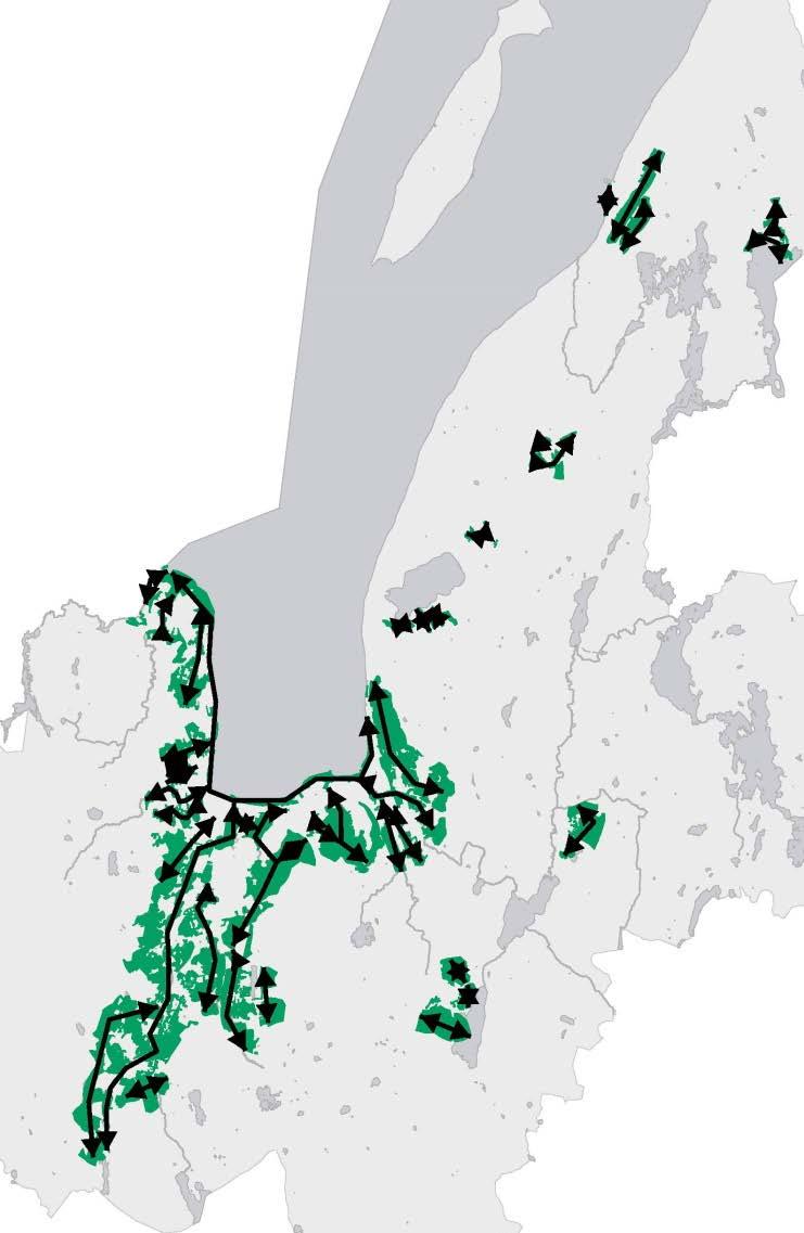 Gröna stråk: Följer naturgivna förutsättningar, Bredare, större sammanhängande områden Kompletteras med: Gröna länkar, mindre/smala gröna områden, med