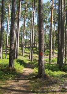 Den är försedd med slingrande gångar, konstverk och vacker utsikt mot ån och gamla Torshälla.