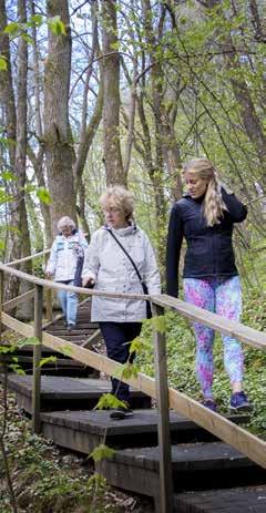 Föreläsningar, temadagar och utflykter Föreläsningar, temadagar och utflykter Utflykt till Vättlefjäll Vi åker till Vättlefjäll där vi promenerar och upplever detta fantastiska naturområde i Angered.