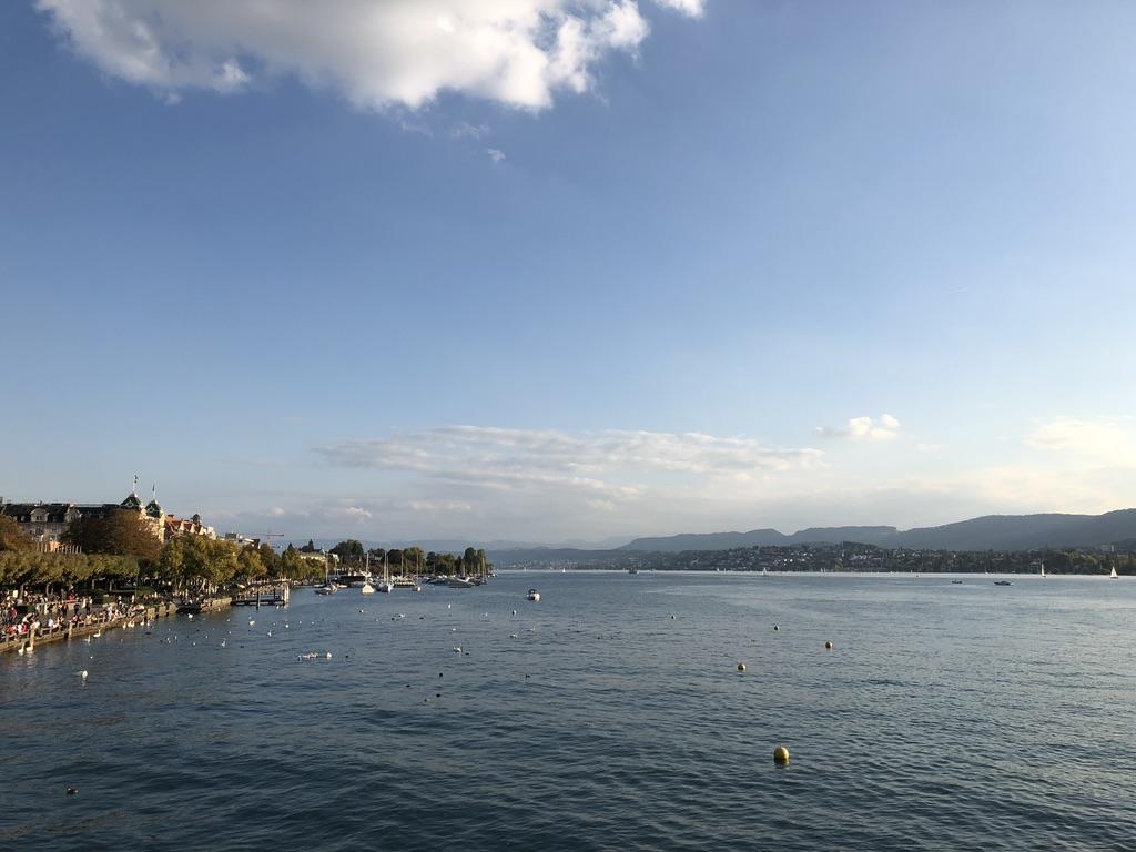 En av vyerna från mitten av staden där det också gick att bada. Längst ut i viken ligger Zürichhorn. Fritid och sociala aktiviteter Foto från toppen av Uetliberg.