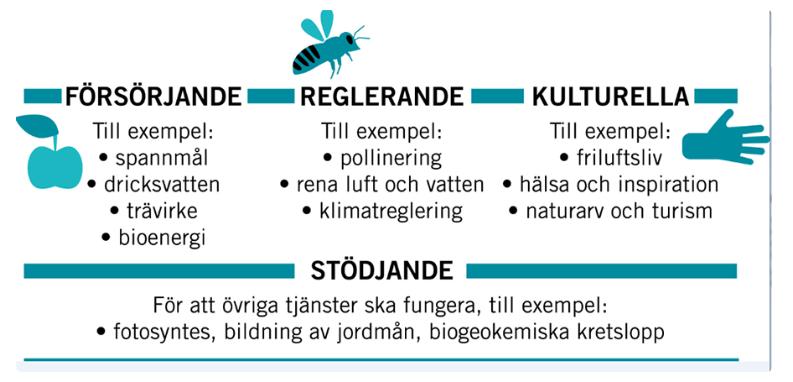 Jorden har funktioner som bidrar till Marken har