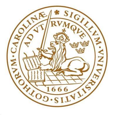 Lunds universitet FKVA22 - HT 18 Statsvetenskapliga institutionen Handledare: Tony Ingesson Plata o Plomo?
