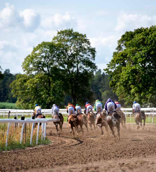 NR 21 TORSDAG 29 AUGUSTI 2019 KLOCKAN 17.