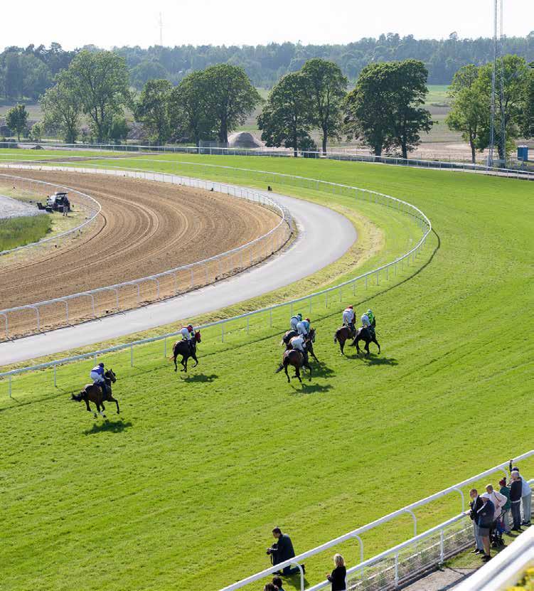 Dagens program 16.00 Grindarna öppnas 16.40 Kvallöpning 1 17.00 Kvallöpning 2 17.10 Tipsgenomgång från ledvolten 17.30 Lopp 1 JÄRNLÖPNING 17.56 Lopp 2, V5-1 MAIDENLÖPNING 18.