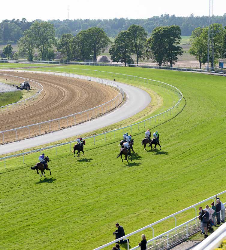 Dagens program 11.00 Grindarna öppnas 11.25 Kvallöpning 1 11.50 Kvallöpning 2 12.00 Tipsgenomgång från ledvolten 12.20 Lopp 1, V4-1 BRONSHANDICAP 12.43 Lopp 2, V4-2 3-ÅRSHANDICAP 13.