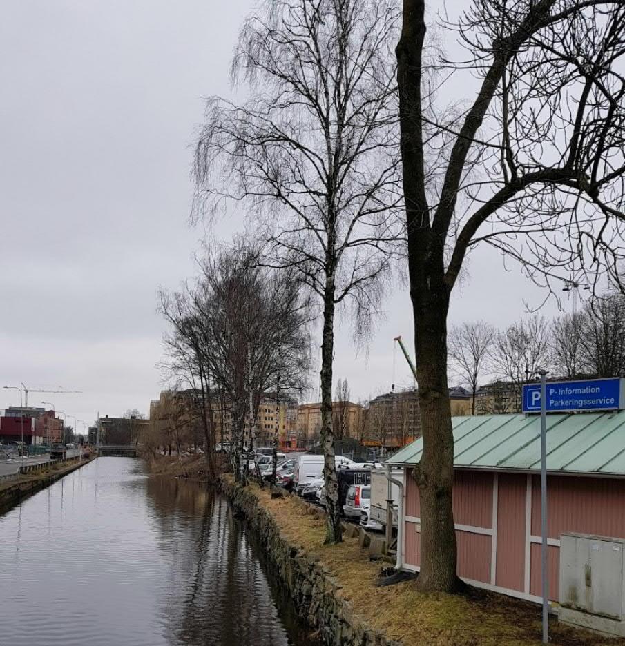 Bild 3. Vy mot söder från Getebergsled, visar norra delen med enstaka träd i gräsyta, utefter stödmur av natursten.