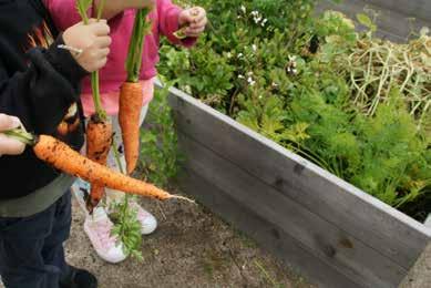 I förskolan arbetar kockar och pedagogisk personal tillsammans med måltidspedagogik, så att barnen får lära sig att känna igen och provsmaka olika grönsaker och rotfrukter.
