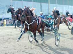 Vit, lått lodr. fält och axelp, ärm; vit Hriette Lars Vg /- /0,a c,0 0' Peter Zadel (Peter Untersteiner) Peter Untersteiner J /- 0/0 0,a, 00' BOUPS SYEN 0:, AM, M Total: --.00,mfux.s.e Maharajah - : -0-,a.