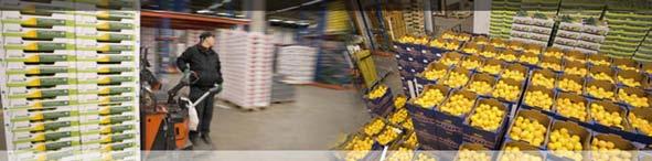 ALLFRUKT I STOCKHOLM AB Allfrukt är den största fristående aktören inom importoch partihandel av frukt och grönsaker i Stockholm/ Mälardalen.