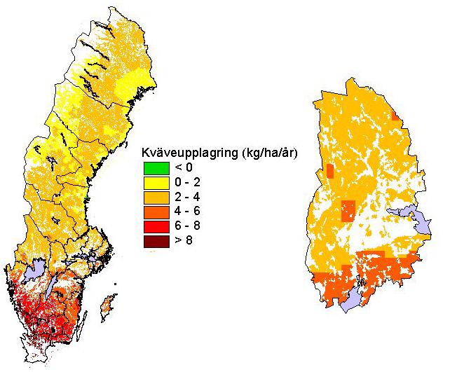 Figur 6. Kväveackumulering i granskog i Sverige och i Örebro län. Färgade områden är alla typer av skogsmark medan vita områden är mark med annan markanvändning.