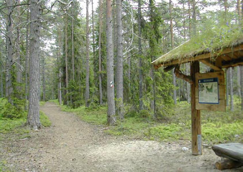 Nr Namn Naturvärde Intresseaspekt Anspråksnivå Rekommendation Klass Mångformigt våtmarkskomplex GH 2 2 A N124 Våtmark vid Kallråtjärnen N125 Myr vid Hundsvedstjärnarna Orörd och mångformig myr GH 2 2