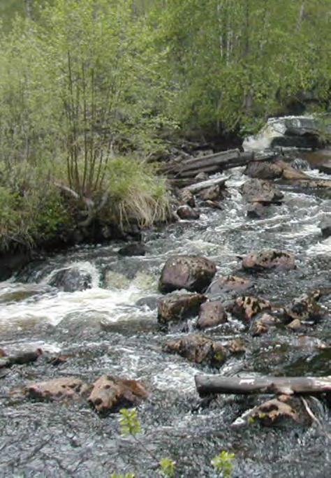 Naturvårdsområden betraktas som naturreservat enligt Miljöbalken, men med bibehållna föreskrifter. Vidare finns 15 områden av riksintresse för kulturmiljövård.
