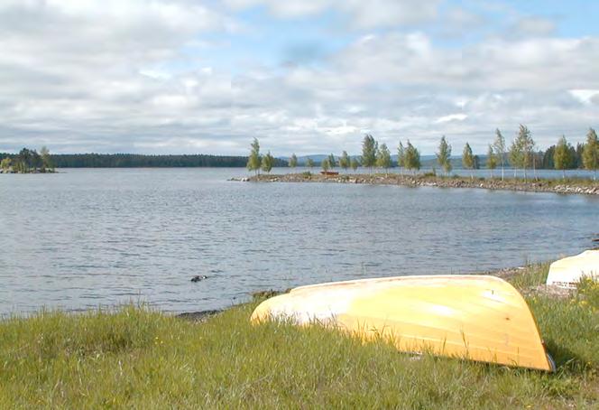 Miljö, hälsa och säkerhet De nationella miljökvalitetsmålen, de regionala miljömålen och de framtida lokala miljömålen skall tillsammans med de nyligen framtagna folkhälsomålen vara ett verktyg för