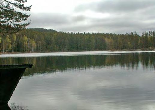 Naturvård- och friluftsliv Skyddade områden (SN-, SB-, SNA- och Natura 2000-områden) Ett flertal områden i Hudiksvall är skyddade med stöd av miljöbalken eller skogsvårdslagen.