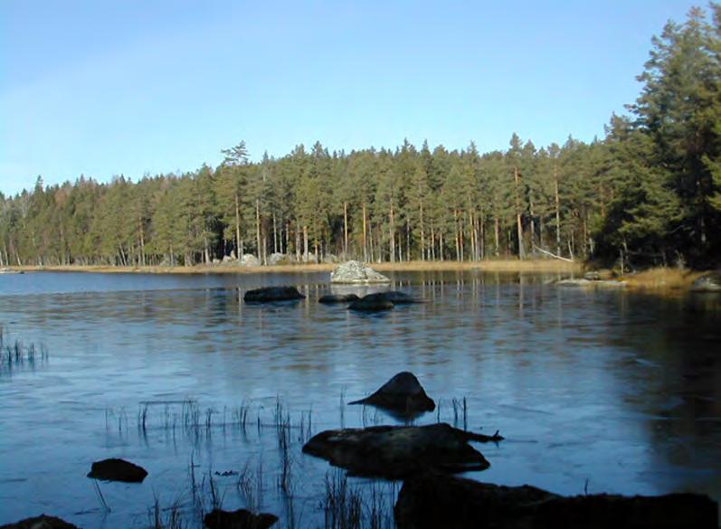 Områden med beteckningen SB och SNA är skyddade av skogsvårdsstyrelsen antingen som biotopskyddsområden (SB) eller med naturvårdsavtal (SNA).