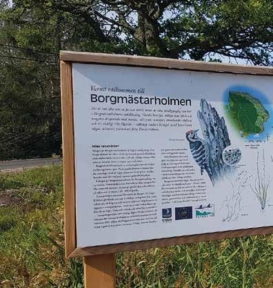 Hållbar utveckling Natur och miljö 2017 2018 drev Trosa och Nyköping tävlingen Minimeringsmästarna. Deltagande hushåll nådde med marginal målet att minska sin avfallsmängd med 50 procent.