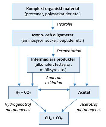 Figur 3. Stegvis nedbrytning av komplext organiskt material i biogasprocessen. 2.4.1.