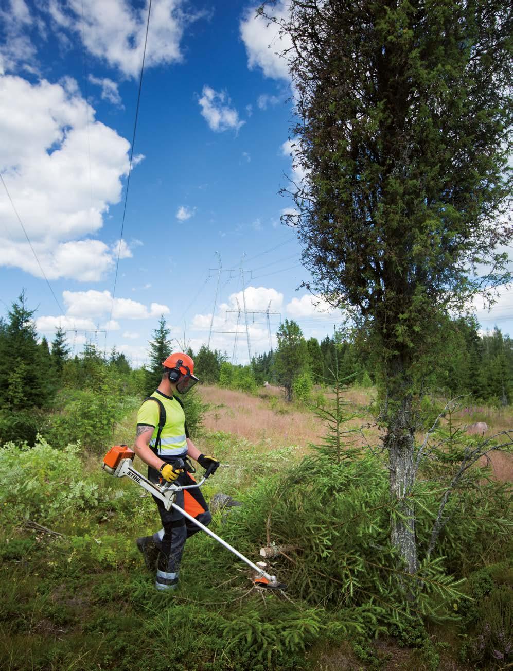 Det finns också skäl att avverka andra träd på kantzonen på samma gång. Fingrid meddelar skriftligt om ledningsområdenas röjningar och hanteringen av trädbeståndet på kantzonerna till markägaren.