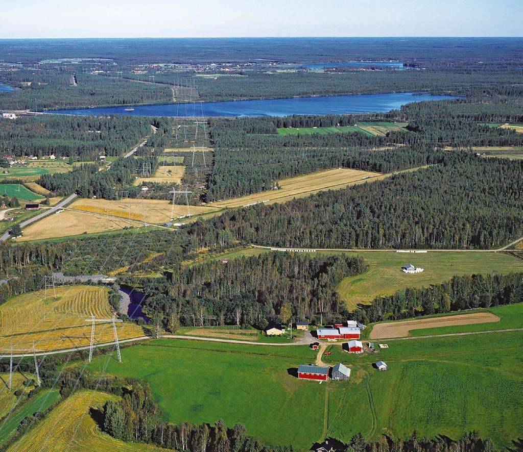 Gårdsträden och kraftledningen Hantering av träden på gårdsområdena är en viktig