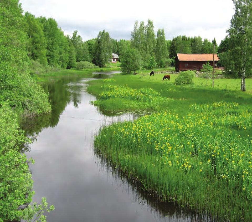 Dalälvens Vattenvårdsförening Samordnad recipientkontroll i Dalälven