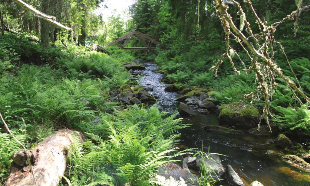 Vattenkemin Sett till Dalälvens avrinningsområde som helhet var vattenkemin relativt normal jämfört med den föregående 5-årsperioden 2005-2009.