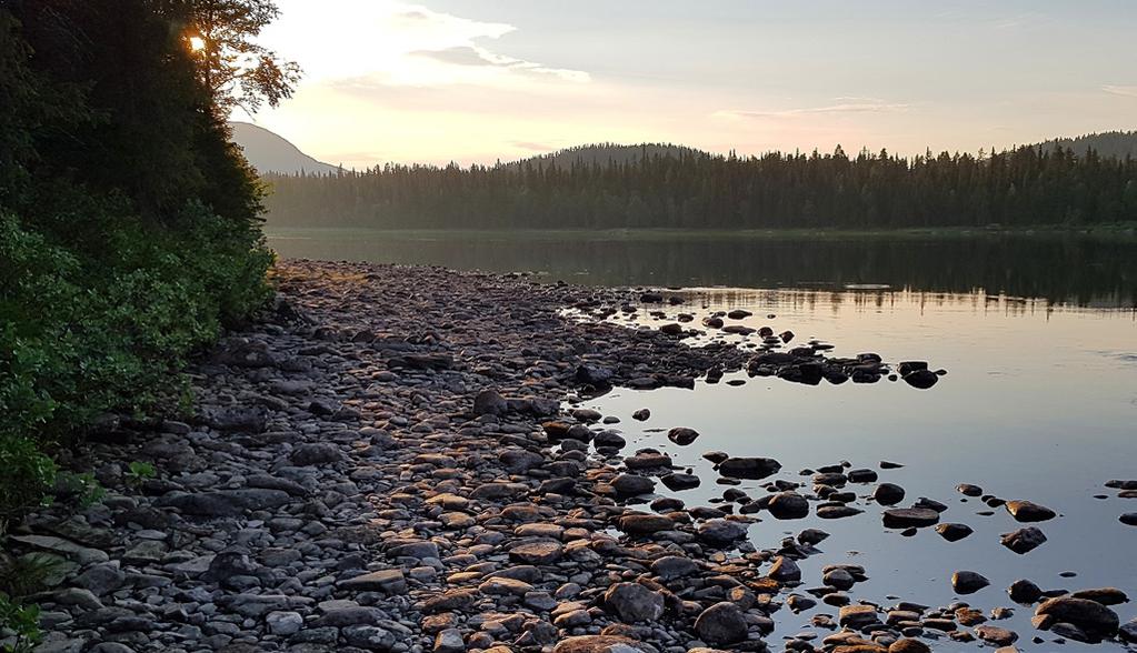 grov harr och öring. Fiska av strömkanterna hela vägen ner till nacken med långa kast och då menar vi hela vägen!