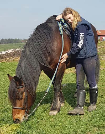 Hästiga aktivitetsträffar Nu utvecklas stallträffarna vidare till aktivitetsträffar.