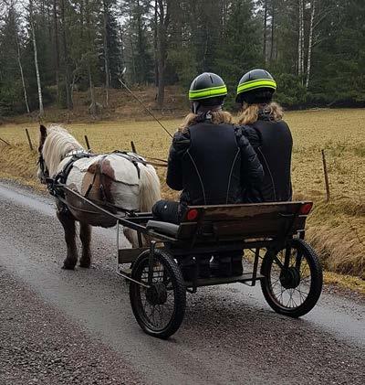 Dagstur på Hunneberg Söndagen den 8 september beger vi oss ut på en långtur till häst, på det vackra berget Hunneberg.