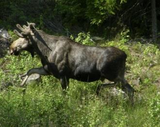 FÖRDJUPAD RESULTATSREDOVISNING, 2018 Sommar Höst Vinter Vår