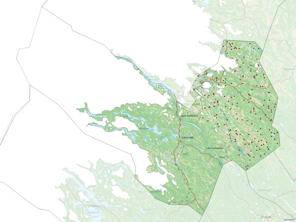 Via detta stickprov görs en statistisk skattning av bland annat hur många ungträd som finns i hela området och hur stor andel av dessa som har skador orsakade av vilt.