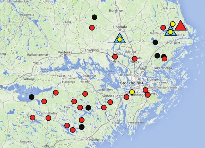 Under senare år har flera spännande arbeten om Macroplea-arternas ekologi publicerats (Biström 1995, Kölsch m.fl. 2010, Kölsch & Krause 2011, Kölsch & Kubiak 2011, Mende m.fl. 2010, Saari 2007), men kunskapen om arternas förekomst i Sverige har förblivit fragmentarisk.