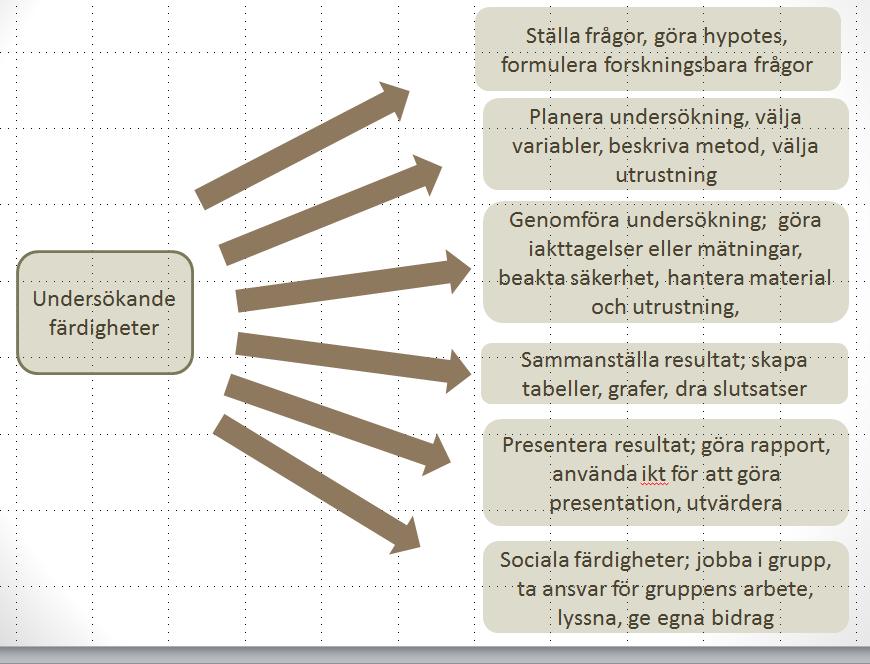 Lärandemål och utvärdering Fundera