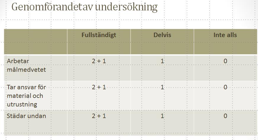 +1 innebär att eleven (eller gruppen haft med, eller gjort, det där lilla extra, som gör att just det momentet är värt en extra poäng.